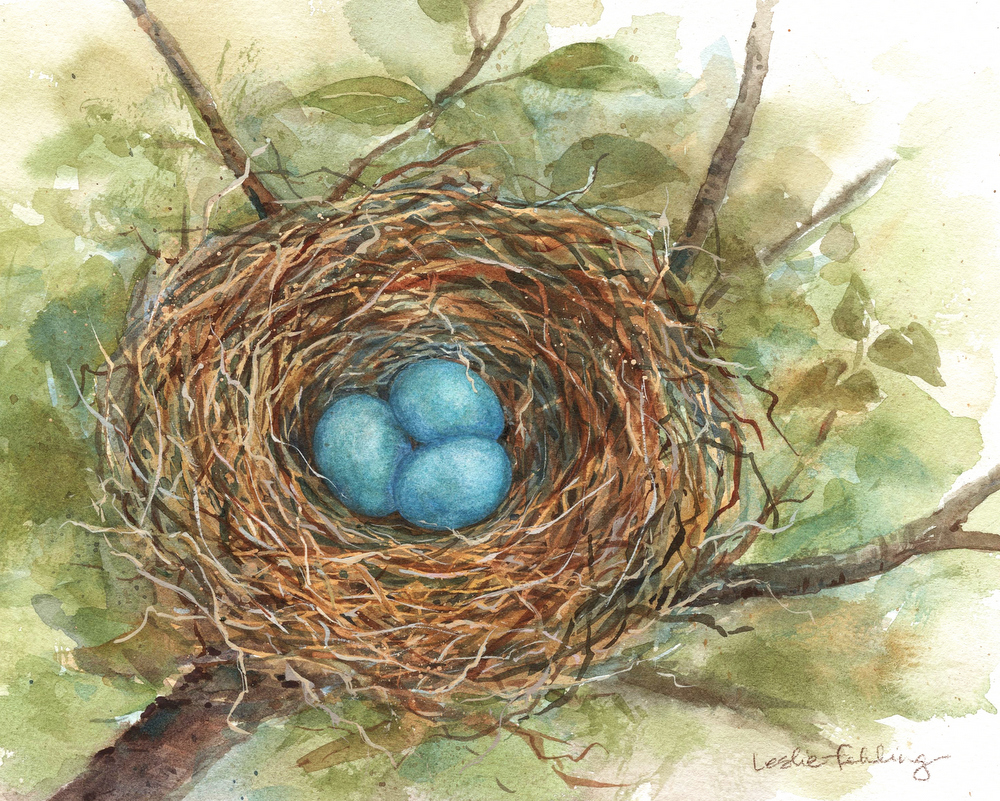 Nest Drawing Images - Free Download on Freepik